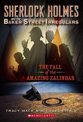 Used paperback copy of The Fall of the Amazing Zalindas by Tracy Mack & Michael Citrin at Donna's Book Corner
