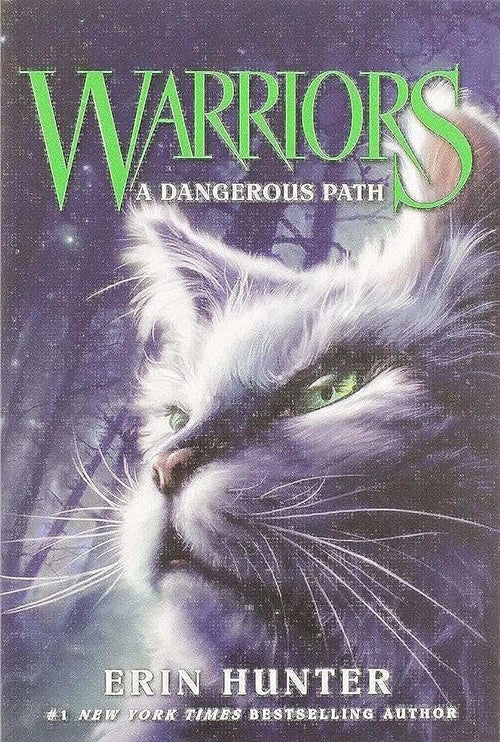 A Dangerous Path: Warriors #5 — Erin Hunter - paperback